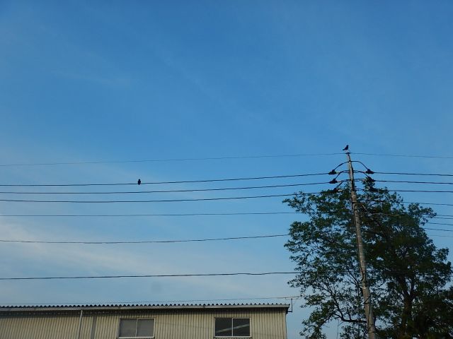 イメージ 8