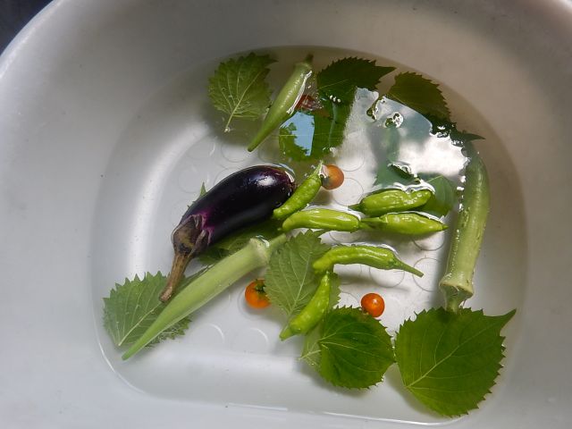 f:id:handpanshoman:20190911190446j:plain