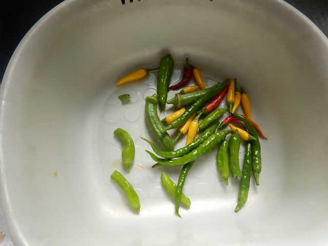 f:id:handpanshoman:20191015193723j:plain