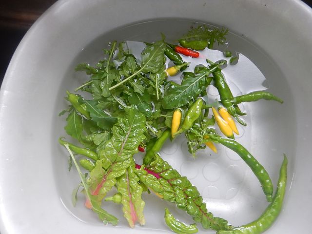 f:id:handpanshoman:20191024185214j:plain