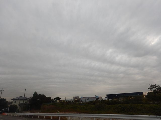 f:id:handpanshoman:20191113191917j:plain