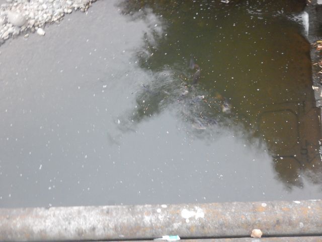 f:id:handpanshoman:20191207192859j:plain