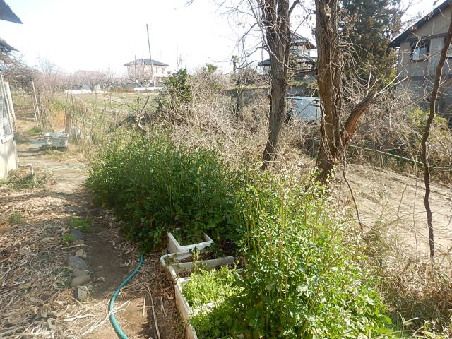 f:id:handpanshoman:20200301210506j:plain
