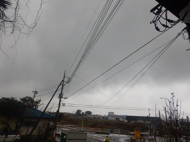 f:id:handpanshoman:20200314202926j:plain f:id:handpanshoman:20200314202926j:plain