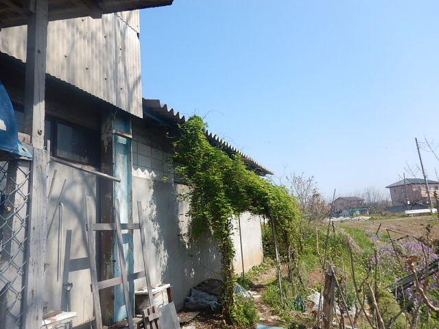 f:id:handpanshoman:20200403194957j:plain