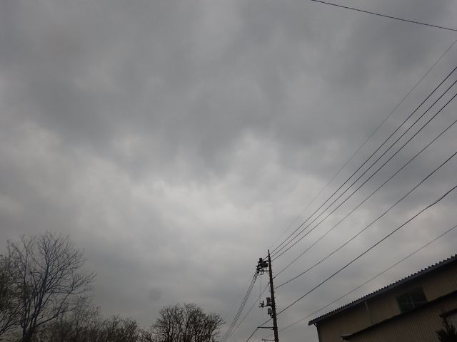 f:id:handpanshoman:20200417190530j:plain