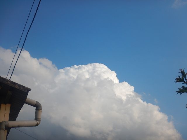 f:id:handpanshoman:20200428194339j:plain f:id:handpanshoman:20200428194339j:plain