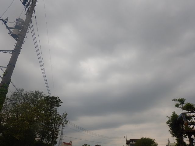 f:id:handpanshoman:20200505190102j:plain