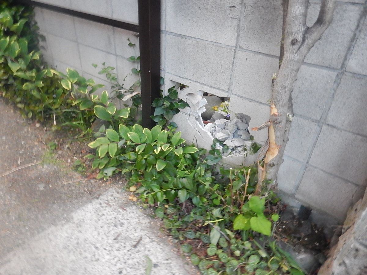 f:id:handpanshoman:20200510195848j:plain