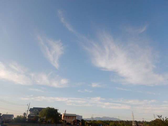 f:id:handpanshoman:20200514185753j:plain
