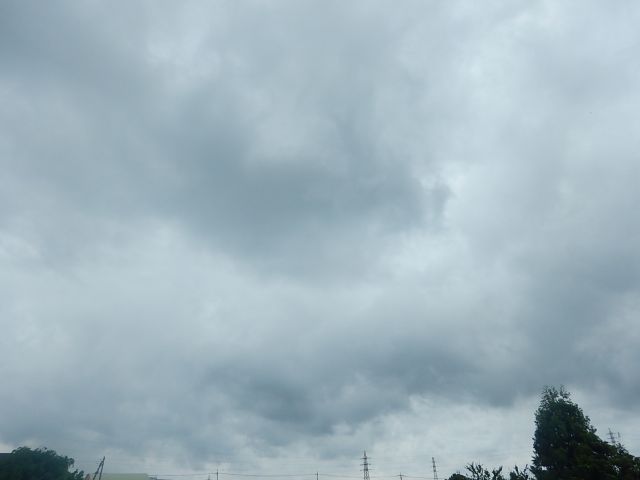 f:id:handpanshoman:20200519184742j:plain