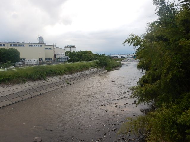 f:id:handpanshoman:20200523191331j:plain f:id:handpanshoman:20200523191331j:plain