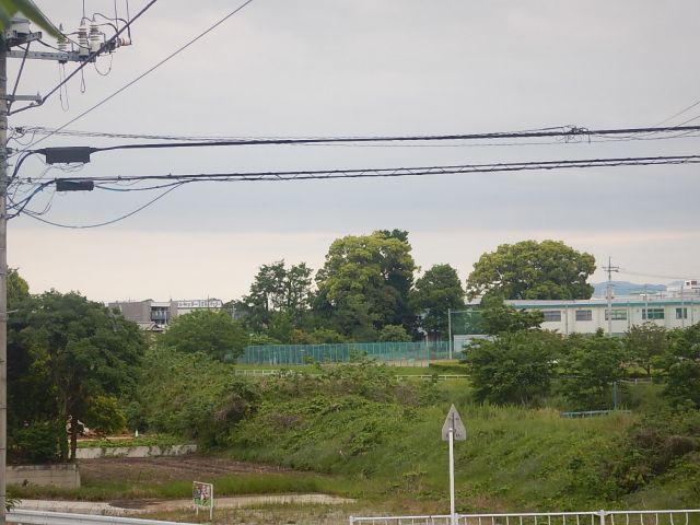 f:id:handpanshoman:20200523191840j:plain f:id:handpanshoman:20200523191840j:plain