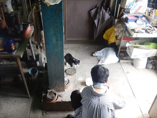 f:id:handpanshoman:20200525192402j:plain
