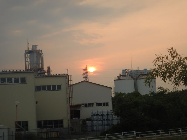 f:id:handpanshoman:20200605195408j:plain