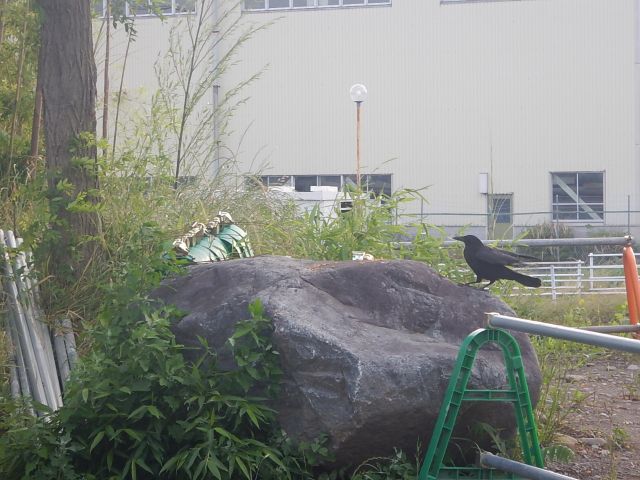 f:id:handpanshoman:20200607192815j:plain