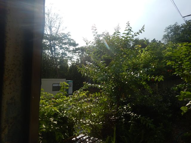 f:id:handpanshoman:20200616184224j:plain
