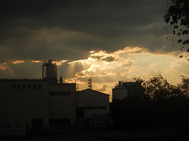 f:id:handpanshoman:20200616184520j:plain
