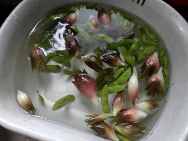 f:id:handpanshoman:20200801184944j:plain f:id:handpanshoman:20200801184944j:plain