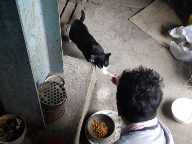 f:id:handpanshoman:20200919185453j:plain f:id:handpanshoman:20200919185453j:plain