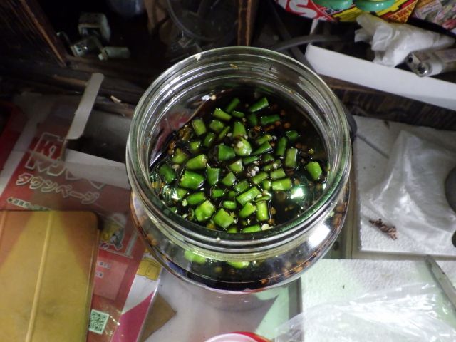 f:id:handpanshoman:20200927180452j:plain