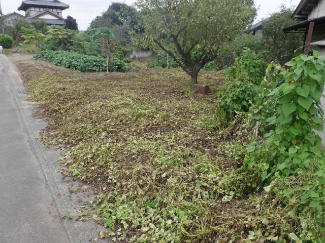 f:id:handpanshoman:20200929192027j:plain f:id:handpanshoman:20200929192027j:plain