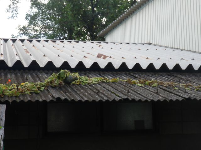 f:id:handpanshoman:20201006185817j:plain
