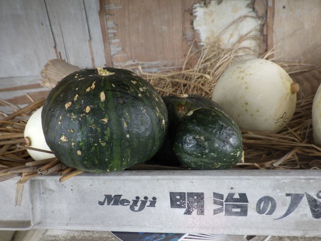 f:id:handpanshoman:20201006185841j:plain