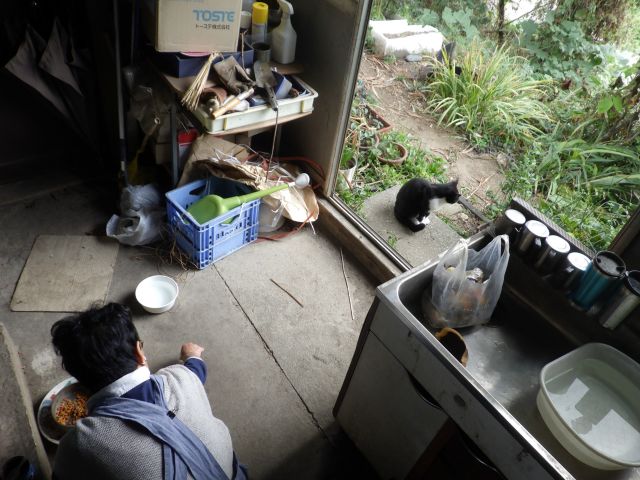 f:id:handpanshoman:20201007184809j:plain