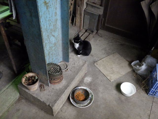 f:id:handpanshoman:20201009190852j:plain