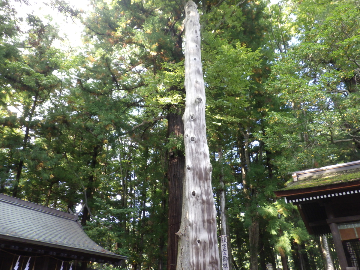 f:id:handpanshoman:20201011212650j:plain