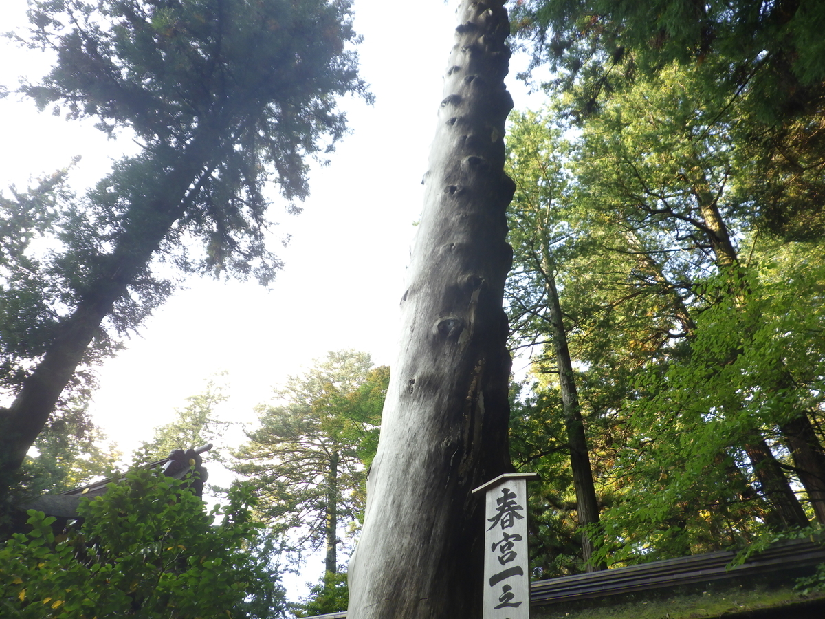 f:id:handpanshoman:20201011212938j:plain