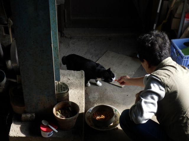f:id:handpanshoman:20201014191047j:plain