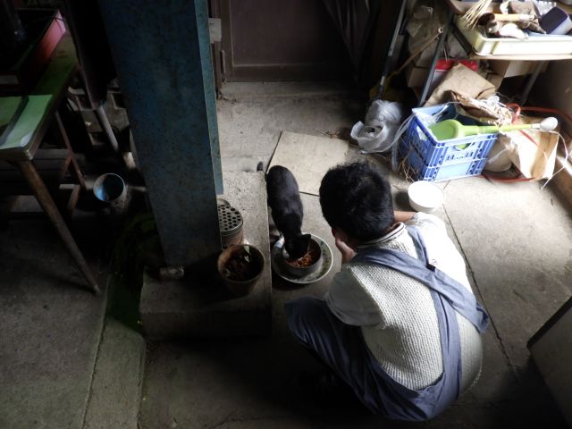 f:id:handpanshoman:20201015192015j:plain f:id:handpanshoman:20201015192015j:plain