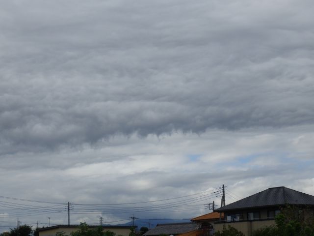 f:id:handpanshoman:20201015192152j:plain f:id:handpanshoman:20201015192152j:plain