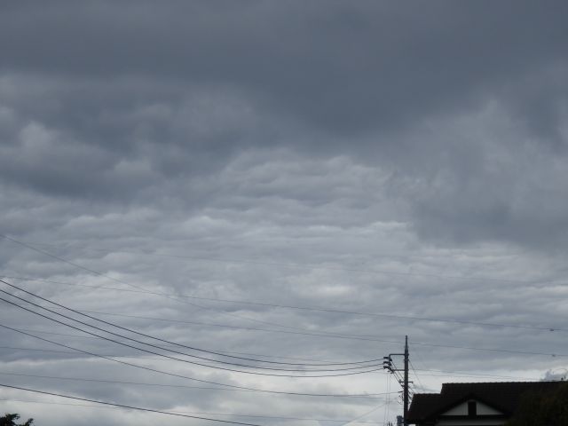 f:id:handpanshoman:20201015192348j:plain f:id:handpanshoman:20201015192348j:plain