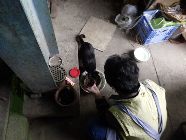 f:id:handpanshoman:20201019190653j:plain