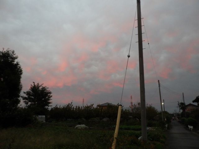 f:id:handpanshoman:20201019191506j:plain