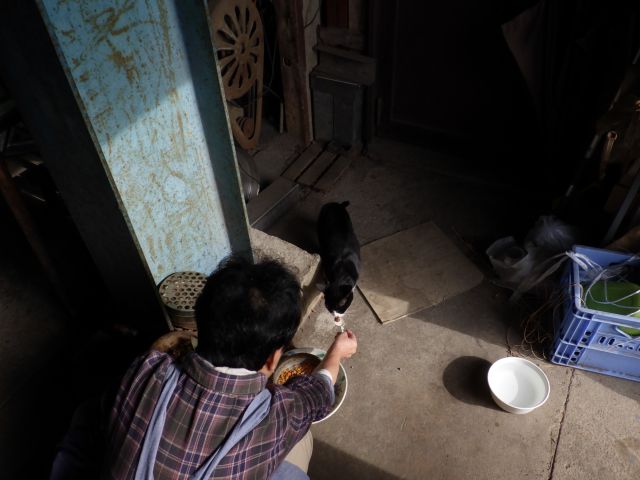 f:id:handpanshoman:20201020184449j:plain