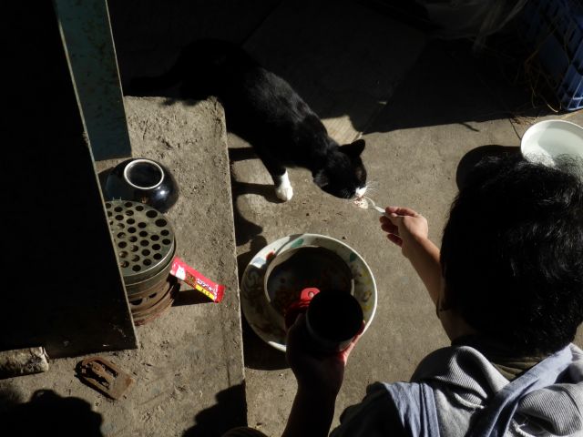 f:id:handpanshoman:20201021190953j:plain