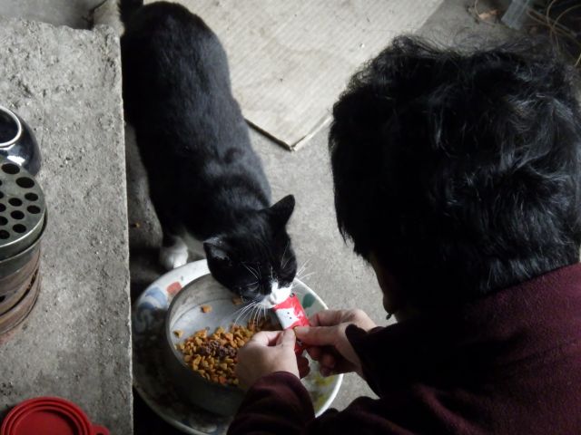 f:id:handpanshoman:20201022191412j:plain