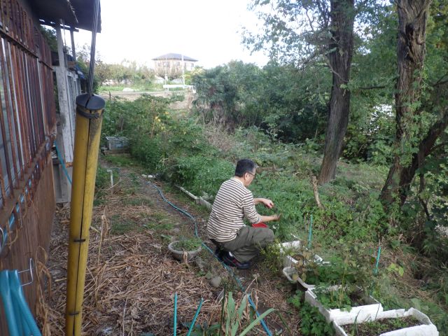 f:id:handpanshoman:20201024181255j:plain
