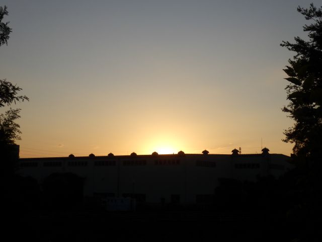 f:id:handpanshoman:20201029191155j:plain