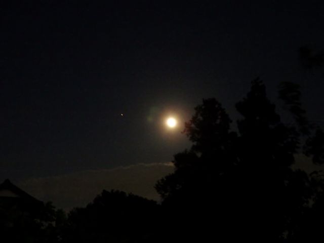 f:id:handpanshoman:20201029191316j:plain