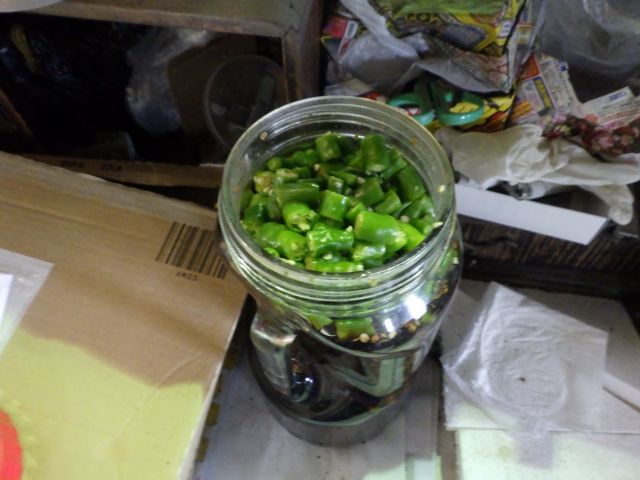 f:id:handpanshoman:20201030191405j:plain