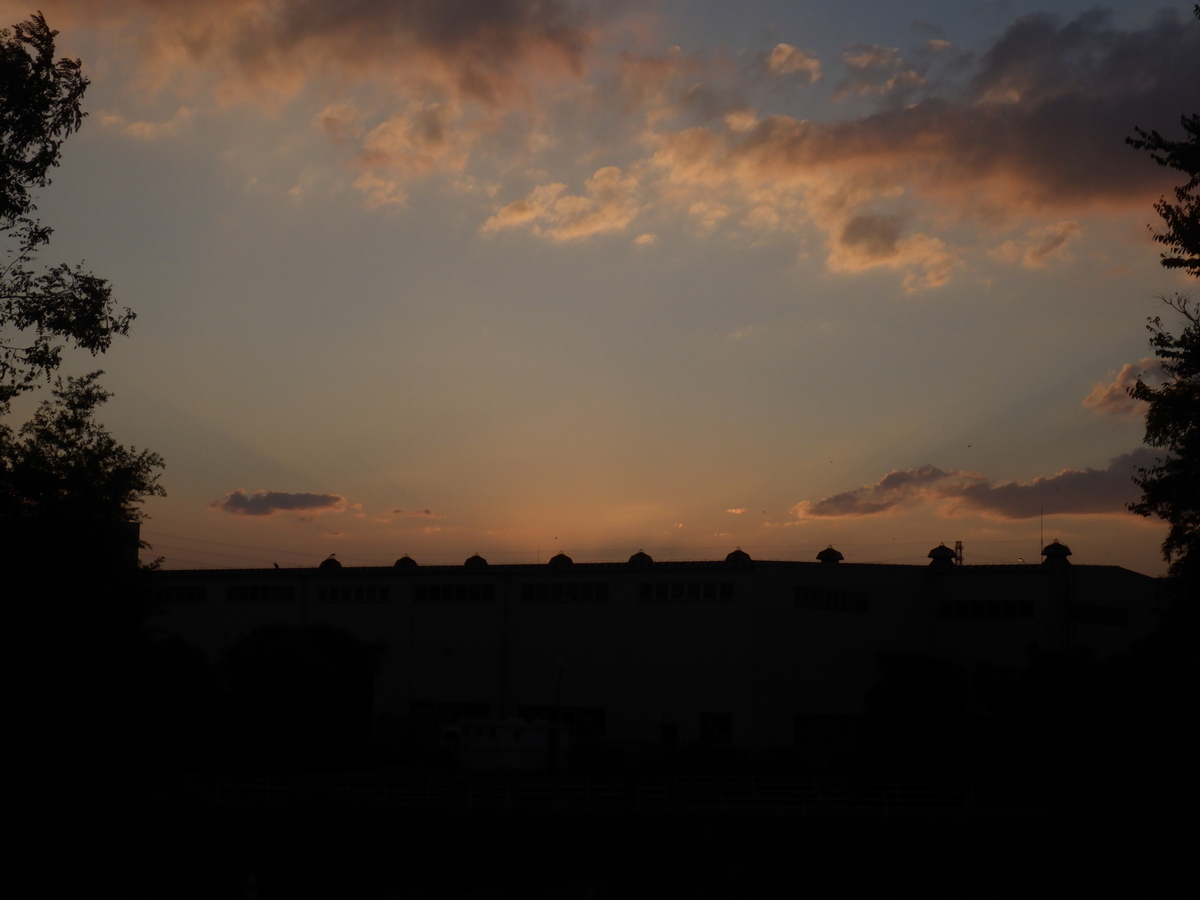 f:id:handpanshoman:20201108211155j:plain