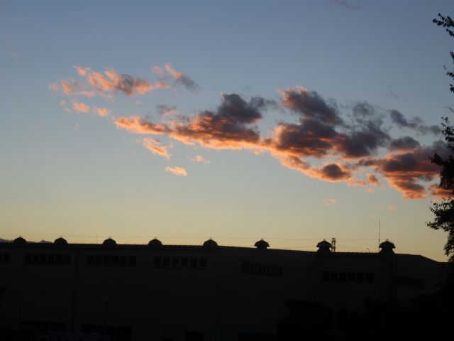 f:id:handpanshoman:20201109191012j:plain