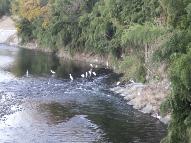 f:id:handpanshoman:20201123184341j:plain
