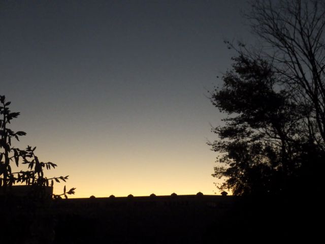 f:id:handpanshoman:20201123184645j:plain