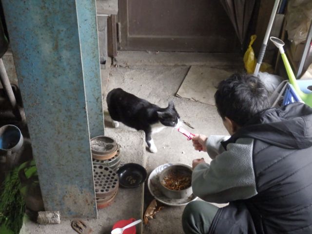 f:id:handpanshoman:20201127192548j:plain